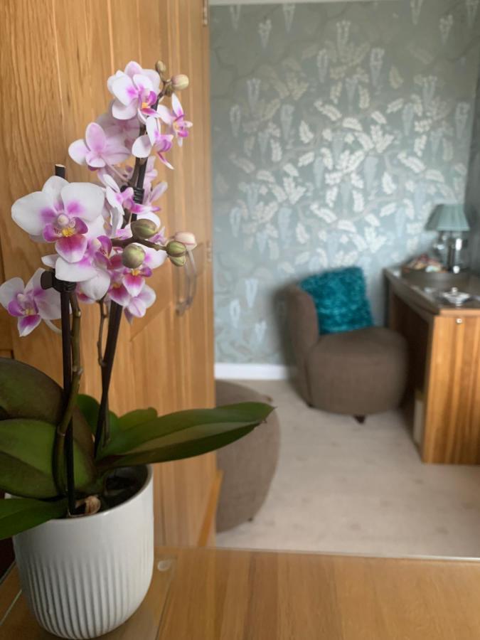 Ramsey House - Luxury Licensed B&B - Parking And Guest Lounge Ст. Дэвидз Экстерьер фото
